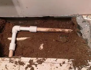 左云测漏水哪家好