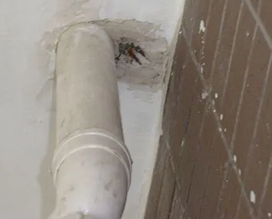 左云漏水检测哪家好